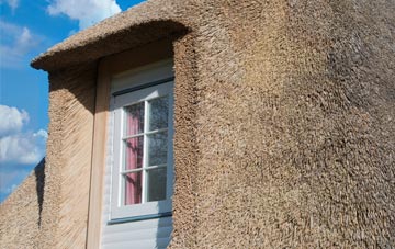 Cheristow thatch roof disadvantages
